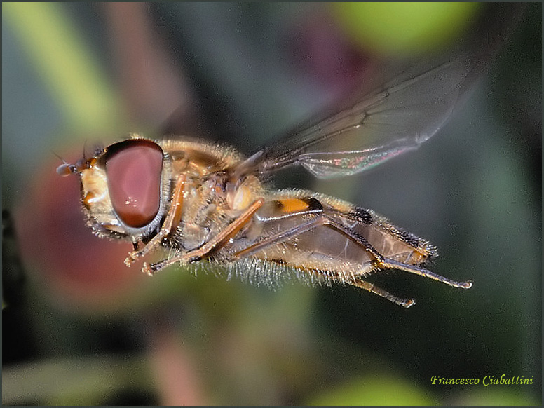 Queste vi consiglio proprio di guardarle!